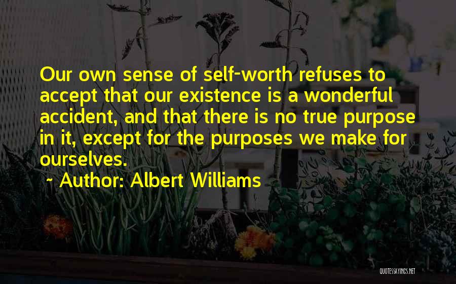 Sense Of Self Worth Quotes By Albert Williams