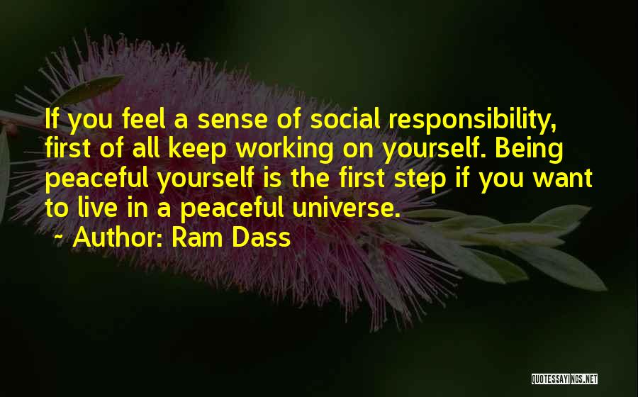 Sense Of Social Responsibility Quotes By Ram Dass