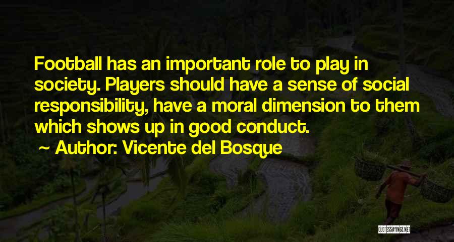 Sense Of Social Responsibility Quotes By Vicente Del Bosque