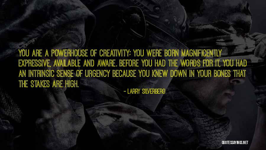 Sense Of Urgency Quotes By Larry Silverberg