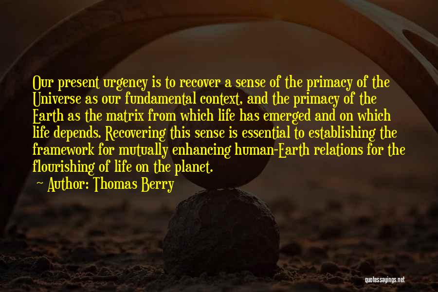 Sense Of Urgency Quotes By Thomas Berry