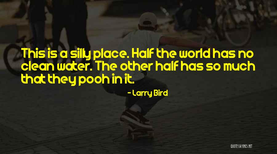 Senseless Shootings Quotes By Larry Bird Senseless Shootings Quotes By Larry Bird