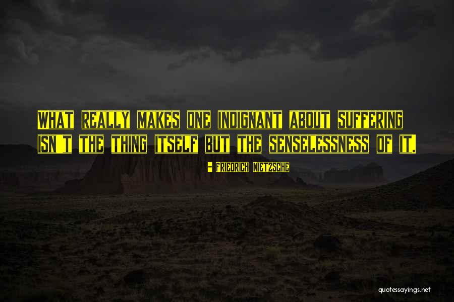 Senselessness Of Suffering Quotes By Friedrich Nietzsche Senselessness Of Suffering Quotes By Friedrich Nietzsche