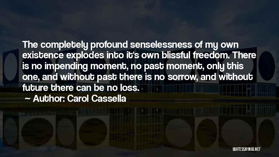 Senselessness Quotes By Carol Cassella