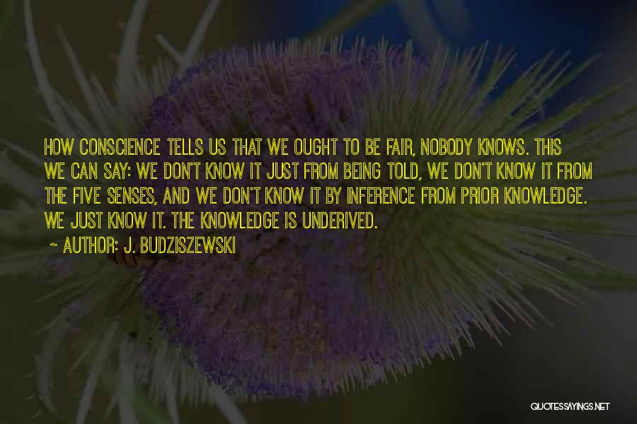 Senses And Knowledge Quotes By J. Budziszewski