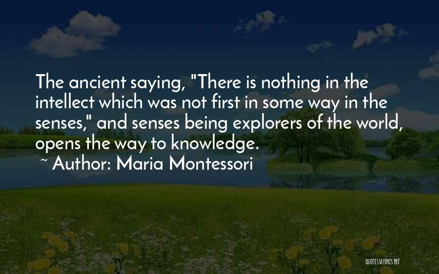 Senses And Knowledge Quotes By Maria Montessori