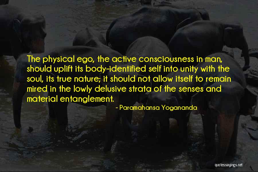 Senses Of The Body Quotes By Paramahansa Yogananda Senses Of The Body Quotes By Paramahansa Yogananda