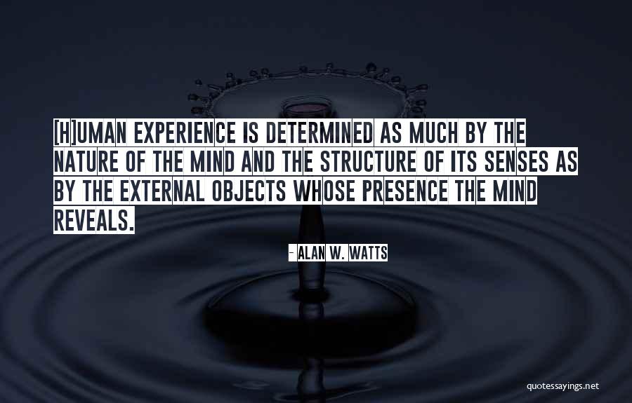 Senses Quotes By Alan W. Watts