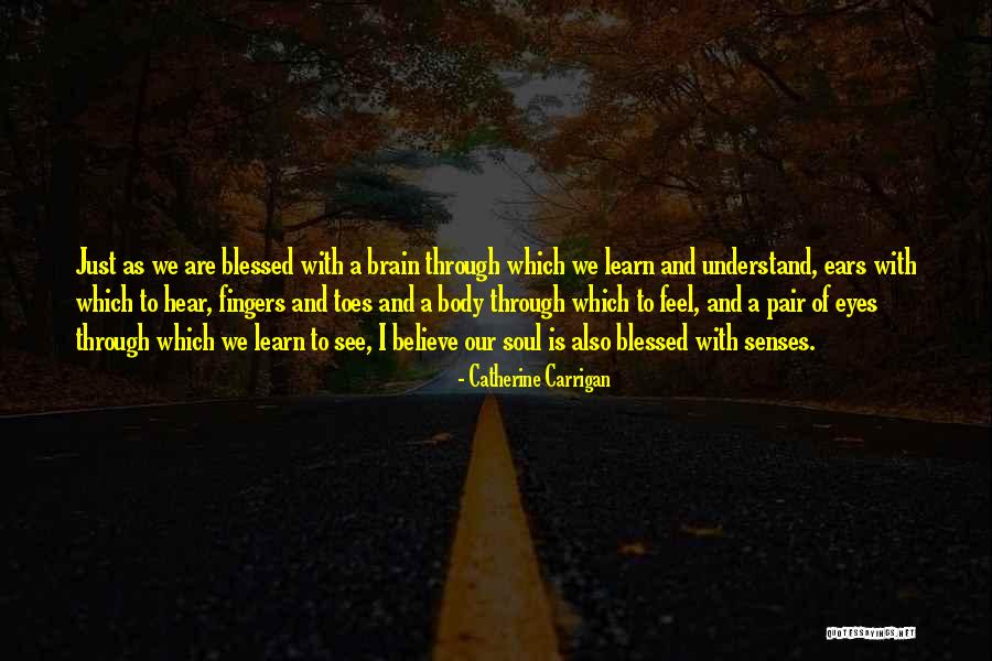 Senses Quotes Quotes By Catherine Carrigan Senses Quotes Quotes By Catherine Carrigan
