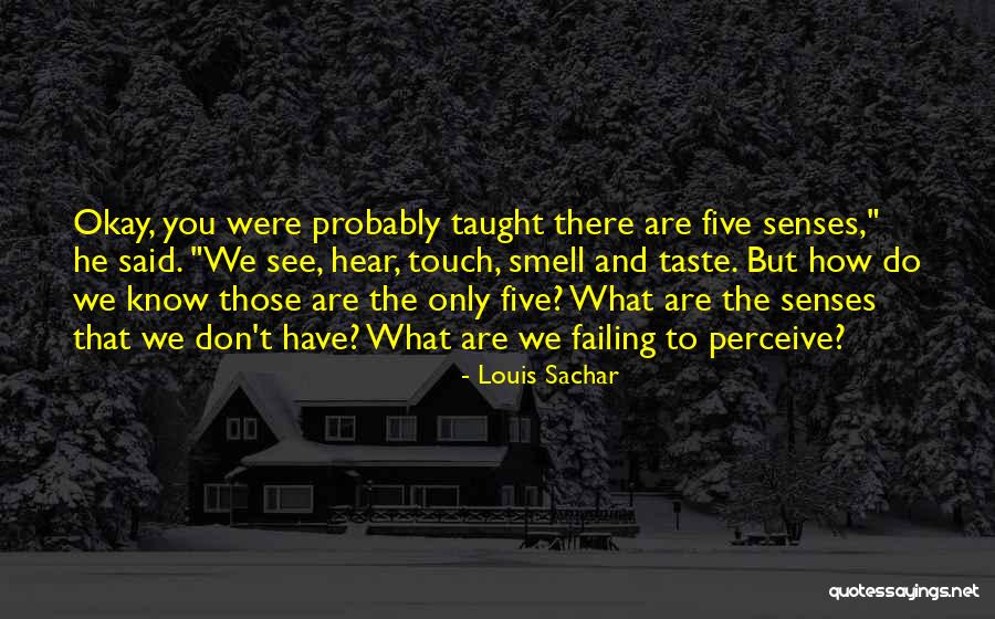 Senses Smell Quotes By Louis Sachar Senses Smell Quotes By Louis Sachar