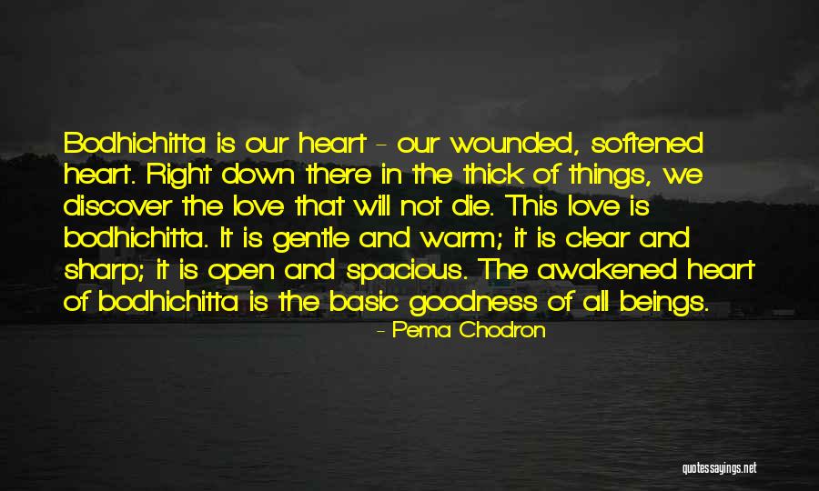 Senses The Movie Quotes By Pema Chodron Senses The Movie Quotes By Pema Chodron