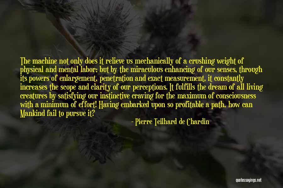 Senses The Quotes By Pierre Teilhard De Chardin