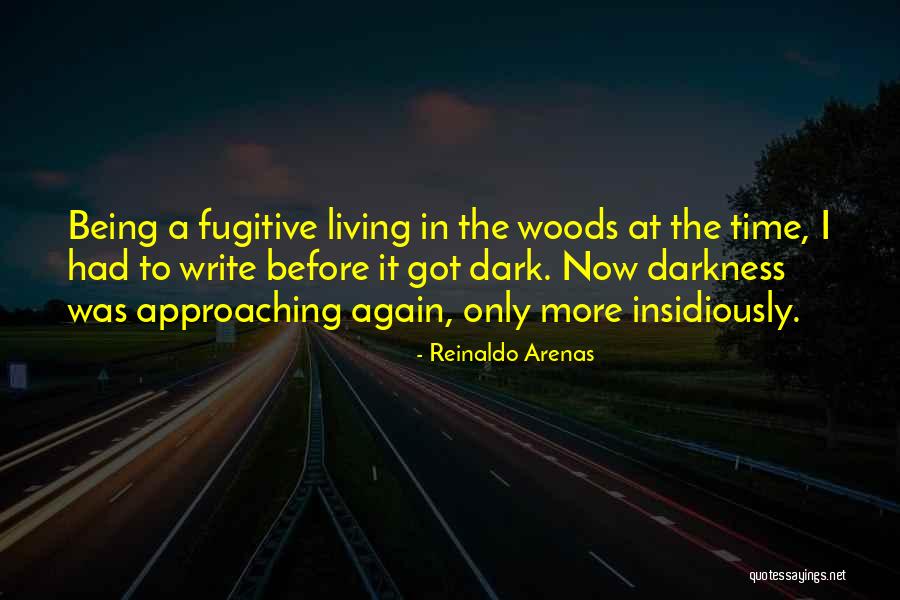 Sensibilizado Significado Quotes By Reinaldo Arenas Sensibilizado Significado Quotes By Reinaldo Arenas