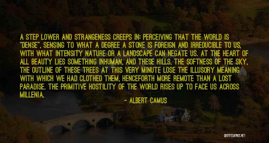 Sensing Nature Quotes By Albert Camus Sensing Nature Quotes By Albert Camus