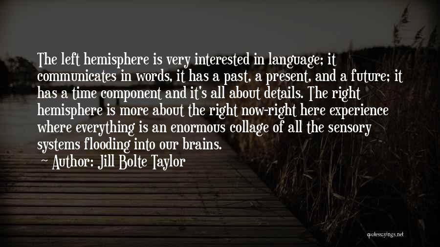 Sensory Language Quotes By Jill Bolte Taylor