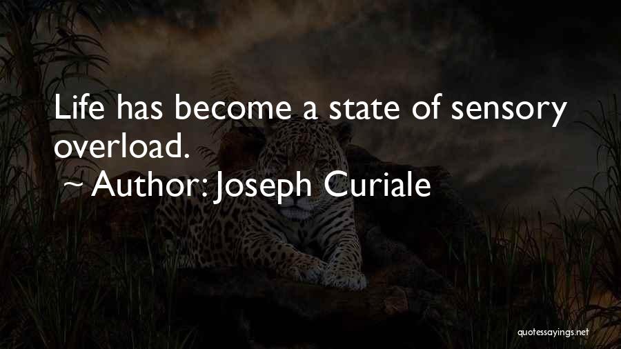 Sensory Overload Quotes By Joseph Curiale