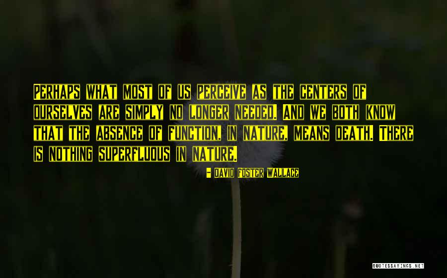 Sensualitas Quotes By David Foster Wallace Sensualitas Quotes By David Foster Wallace