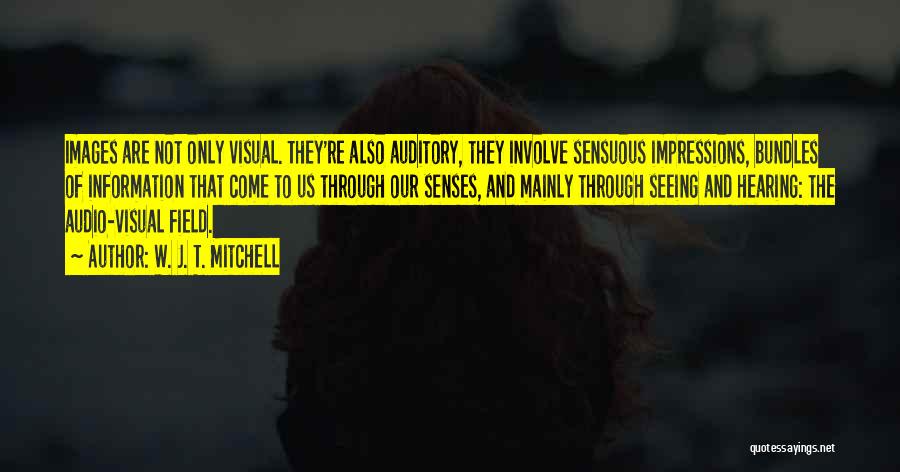 Sensuous Images With Quotes By W. J. T. Mitchell