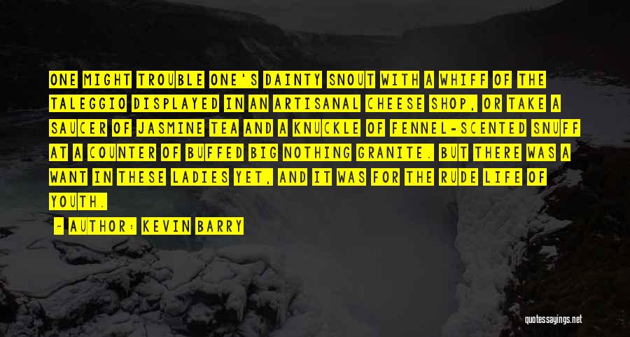 Sensuous Quotes By Kevin Barry