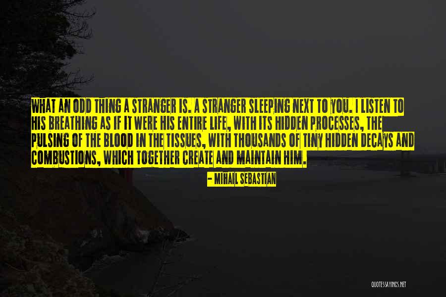 Sentence And Its Types Quotes By Mihail Sebastian Sentence And Its Types Quotes By Mihail Sebastian