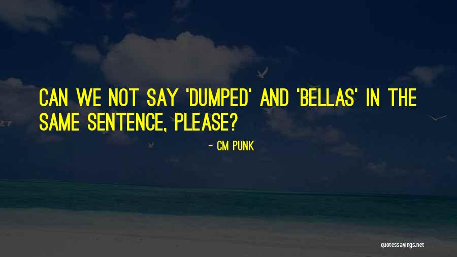 Sentences In Quotes By CM Punk Sentences In Quotes By CM Punk