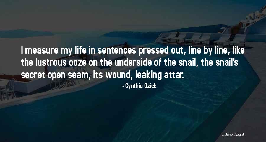 Sentences In Quotes By Cynthia Ozick Sentences In Quotes By Cynthia Ozick