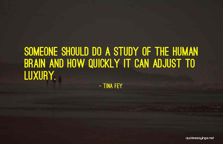 Sententiously Synonym Quotes By Tina Fey Sententiously Synonym Quotes By Tina Fey
