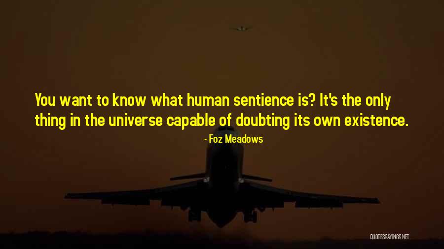 Sentience Of The Universe Quotes By Foz Meadows Sentience Of The Universe Quotes By Foz Meadows