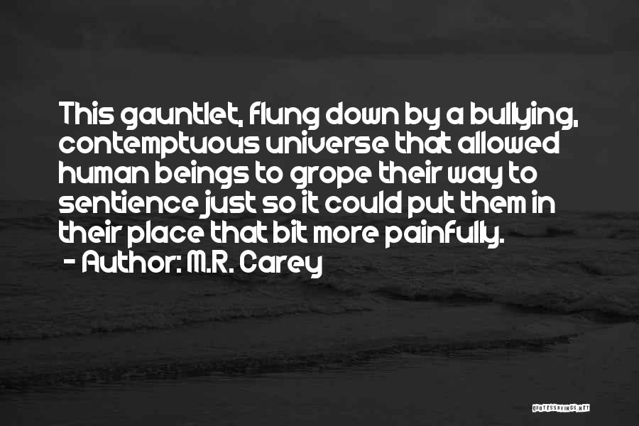 Sentience Quotes By M.R. Carey