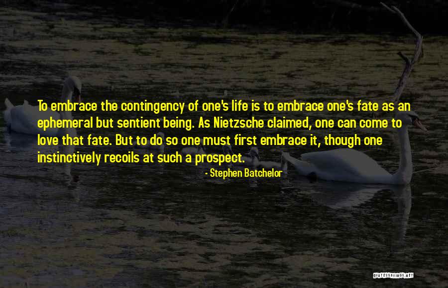 Sentient Being Quotes By Stephen Batchelor Sentient Being Quotes By Stephen Batchelor