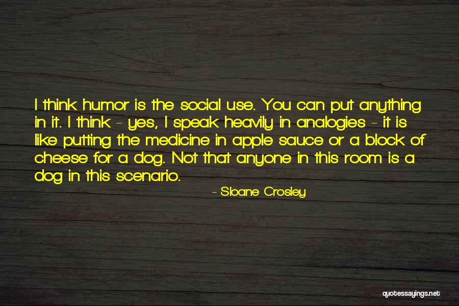Sentiment In Writing Quotes By Sloane Crosley Sentiment In Writing Quotes By Sloane Crosley