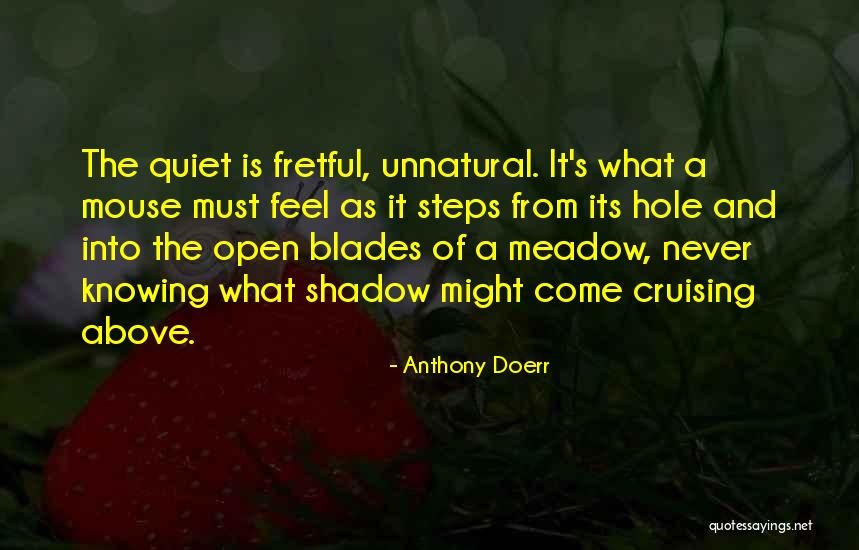 Sentimentalisme D Finition Quotes By Anthony Doerr Sentimentalisme D Finition Quotes By Anthony Doerr