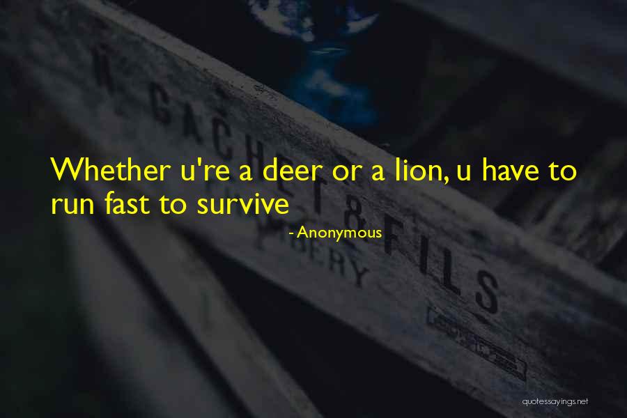 Sentir Quotes By Anonymous Sentir Quotes By Anonymous