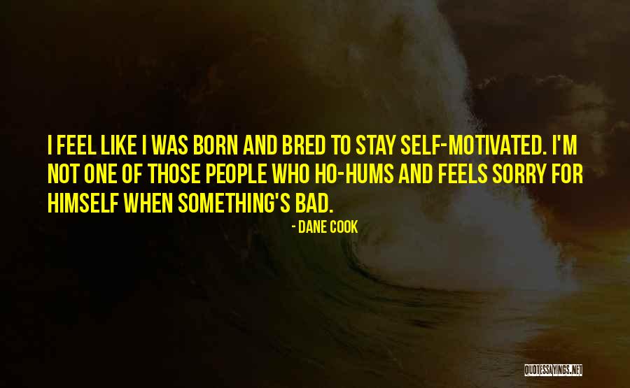 Senza Bayville Quotes By Dane Cook Senza Bayville Quotes By Dane Cook
