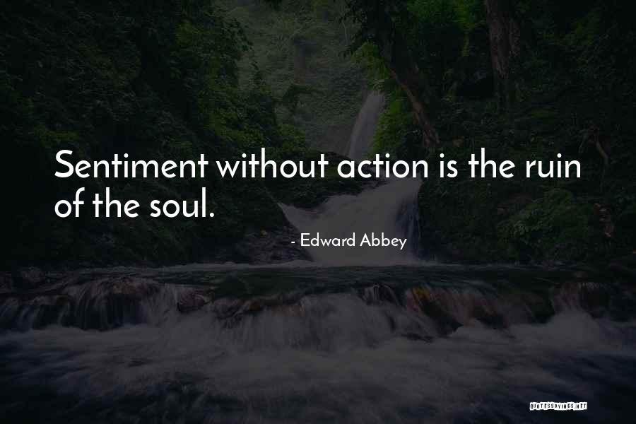 Senzual Dex Quotes By Edward Abbey Senzual Dex Quotes By Edward Abbey