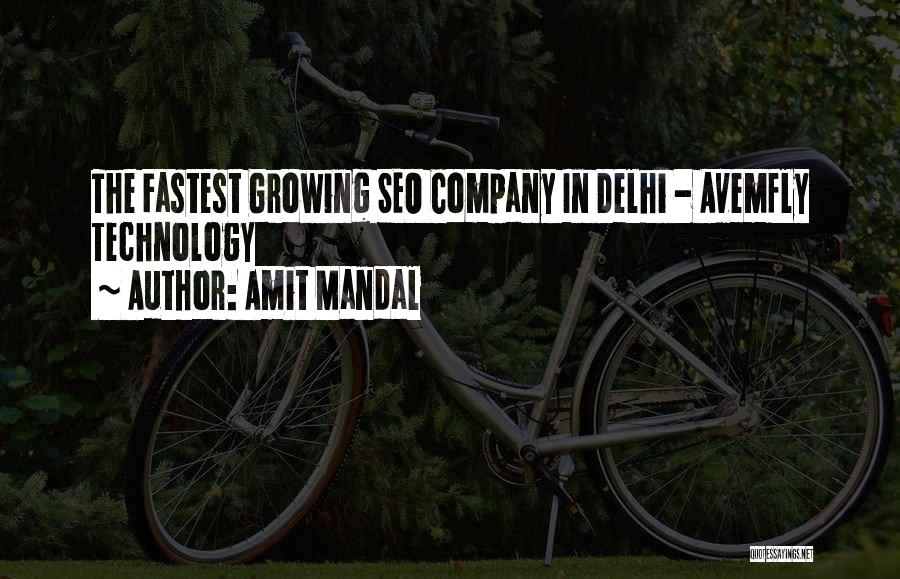 Seo Company Quotes By Amit Mandal