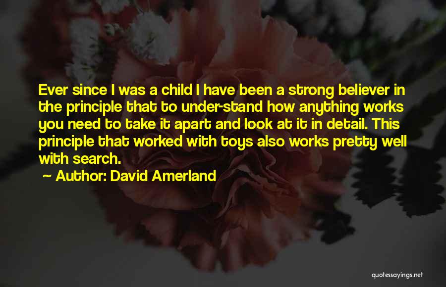 Seo Quotes By David Amerland