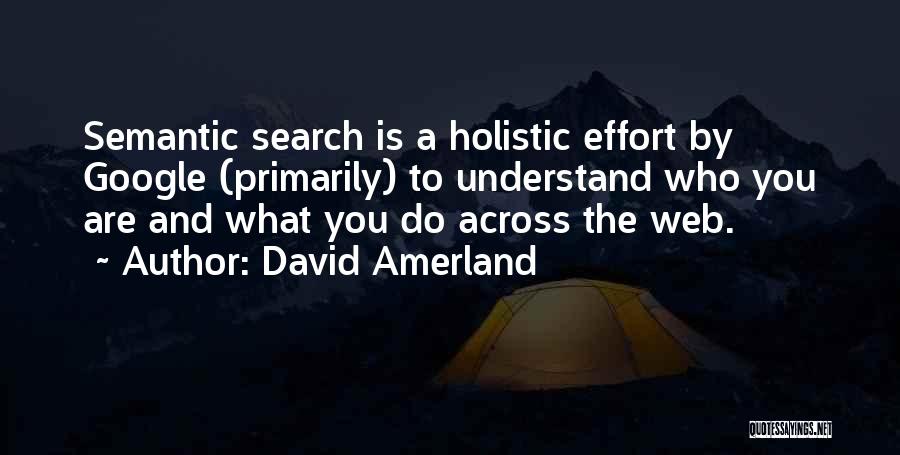 Seo Quotes By David Amerland