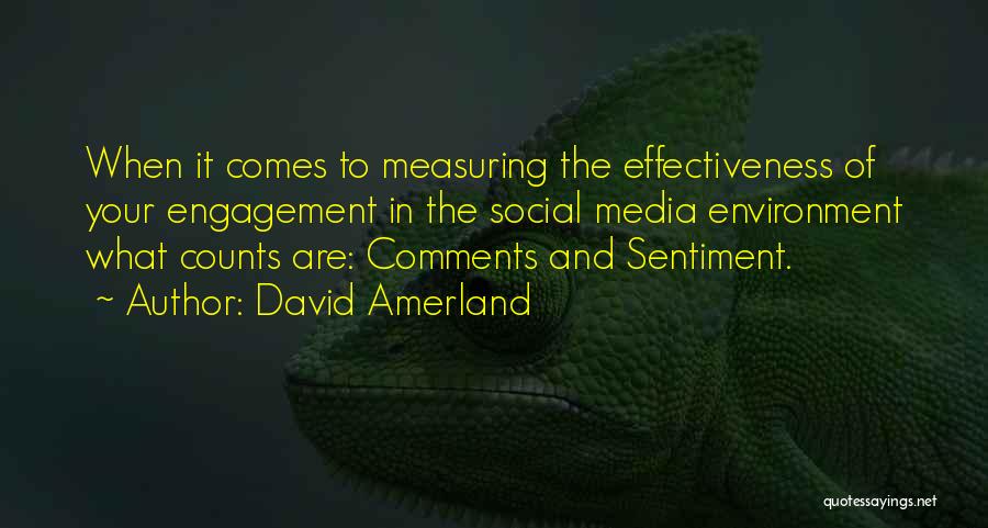 Seo Quotes By David Amerland