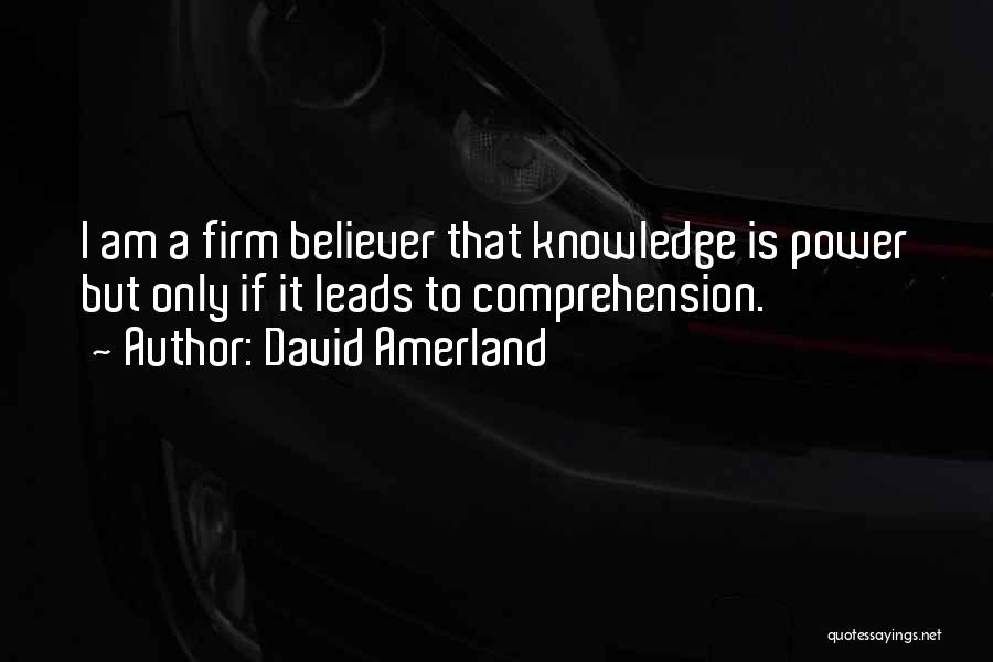Seo Quotes By David Amerland