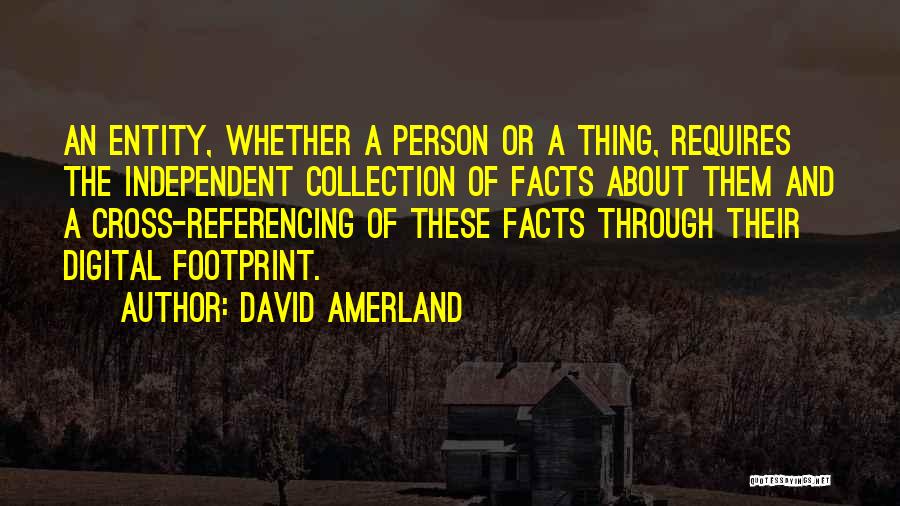 Seo Quotes By David Amerland