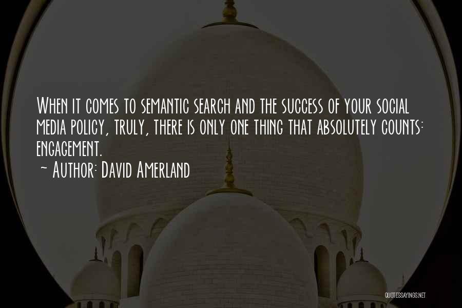 Seo Quotes By David Amerland