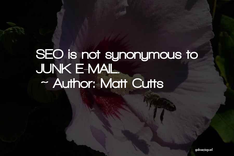 Seo Quotes By Matt Cutts