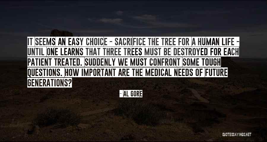 Sep 5 Teachers Day Quotes By Al Gore Sep 5 Teachers Day Quotes By Al Gore