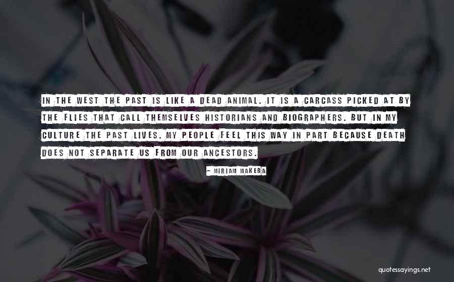 Separate From People Quotes By Miriam Makeba Separate From People Quotes By Miriam Makeba