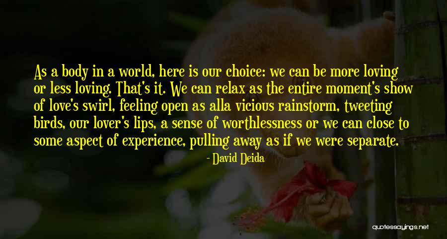 Separate Yourself From The World Quotes By David Deida Separate Yourself From The World Quotes By David Deida