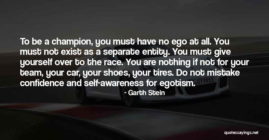 Separate Yourself Quotes By Garth Stein