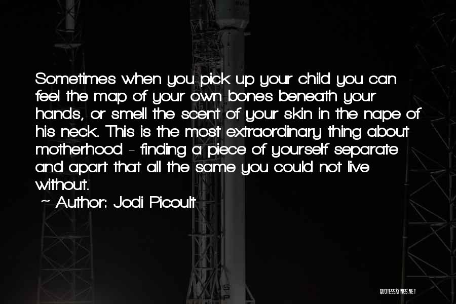 Separate Yourself Quotes By Jodi Picoult