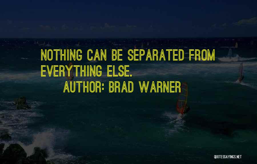 Separated Quotes By Brad Warner