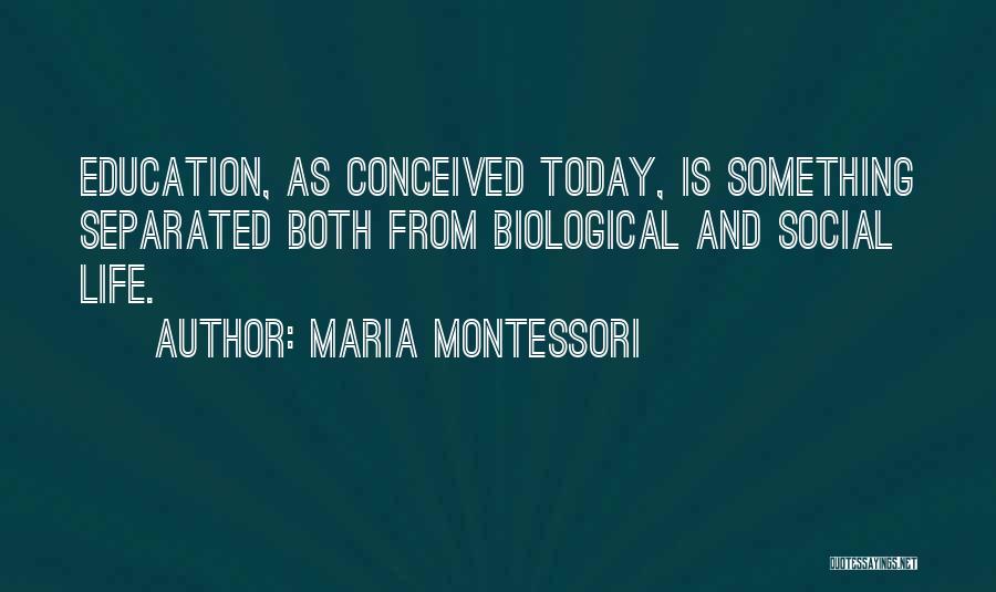 Separated Quotes By Maria Montessori